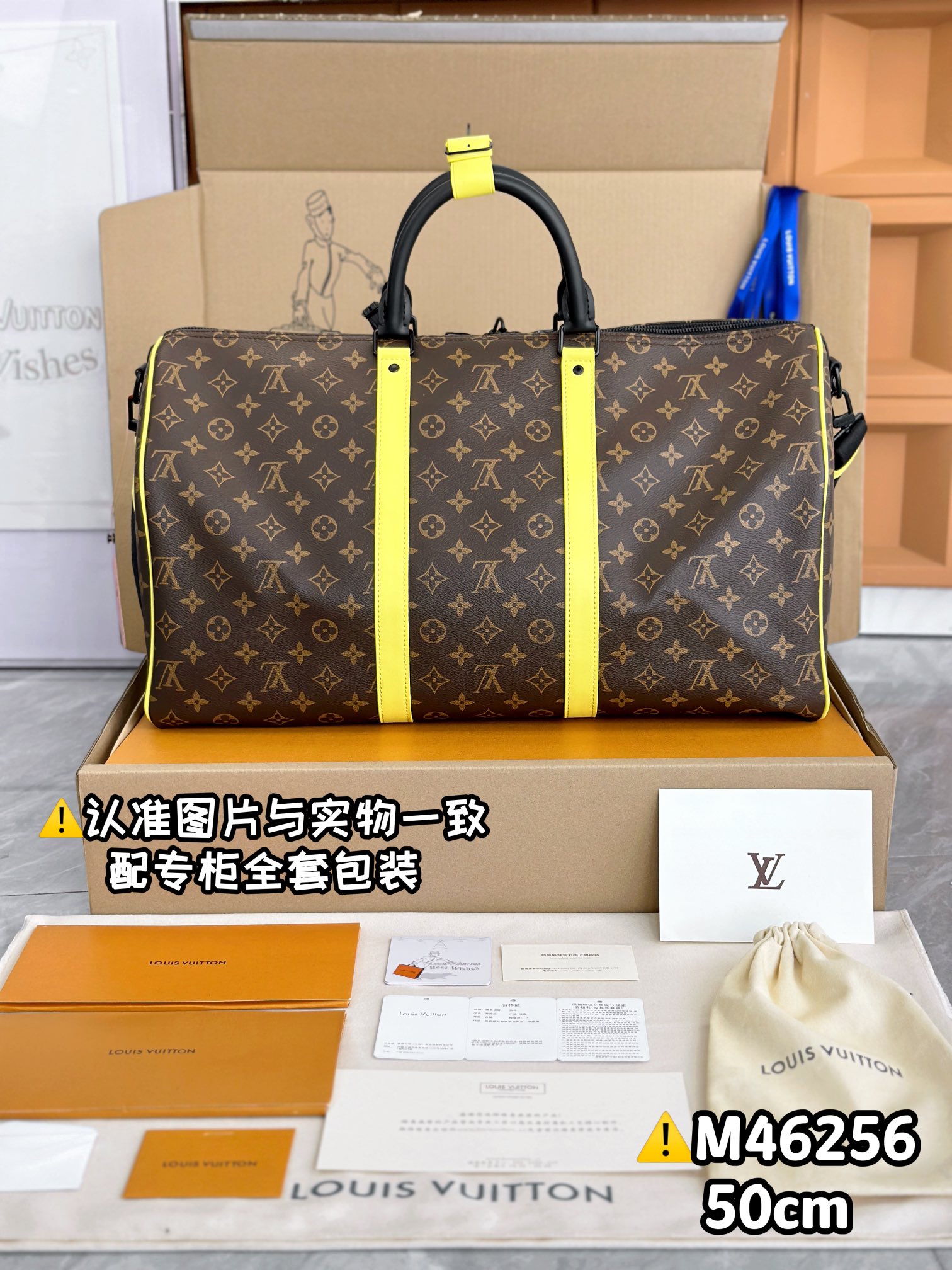 LV Travel Bags